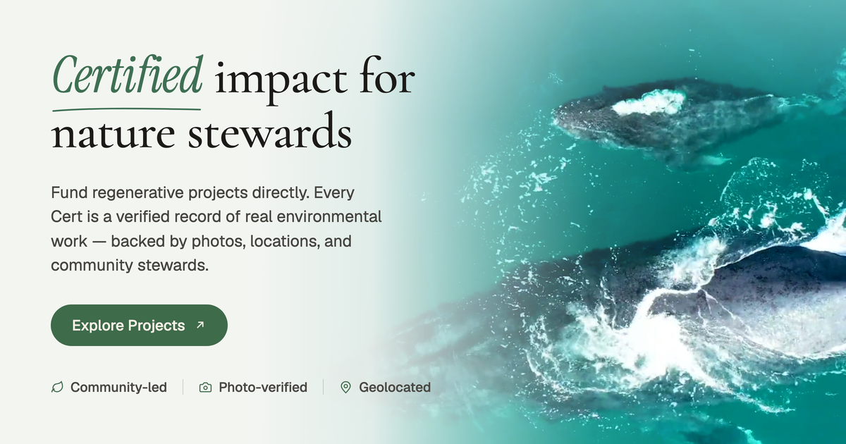 https://www.gainforest.app/en social preview image